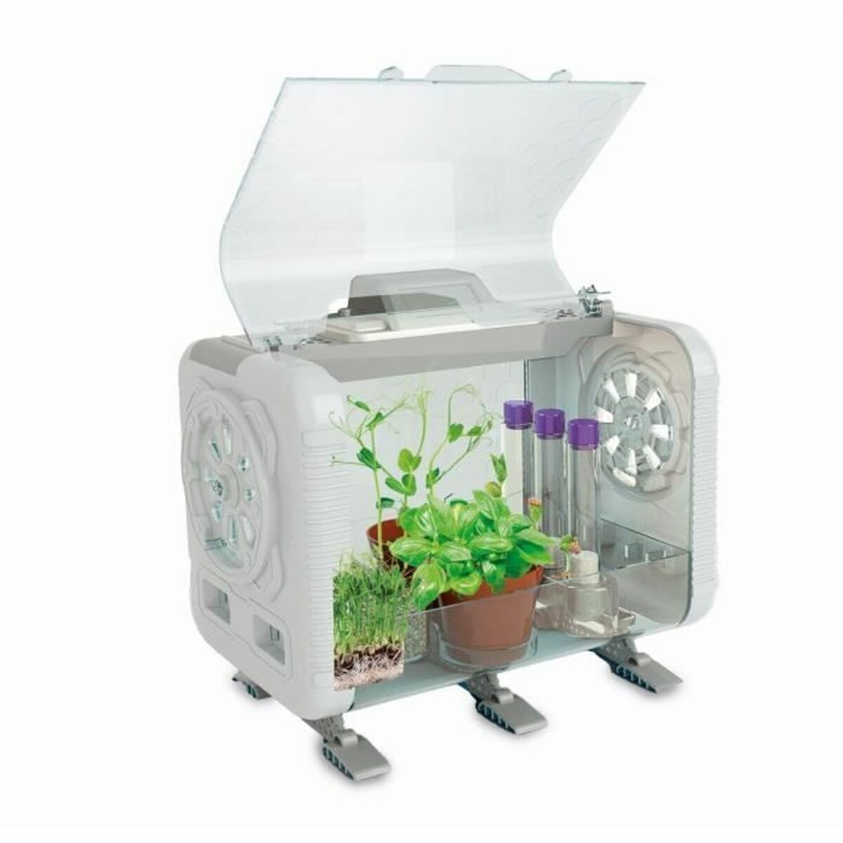 rezervație pentru animale terestre Clementoni