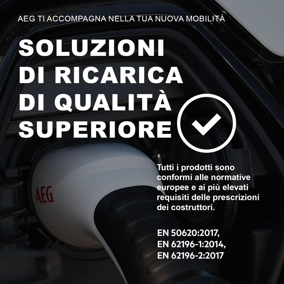 Încărcător de baterie AEG 201869