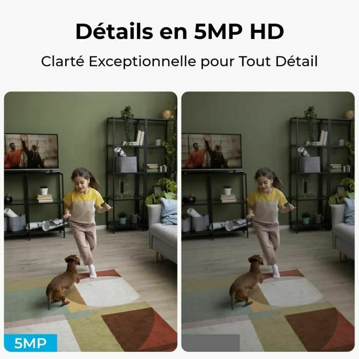 Cameră Video de Supraveghere Reolink E330