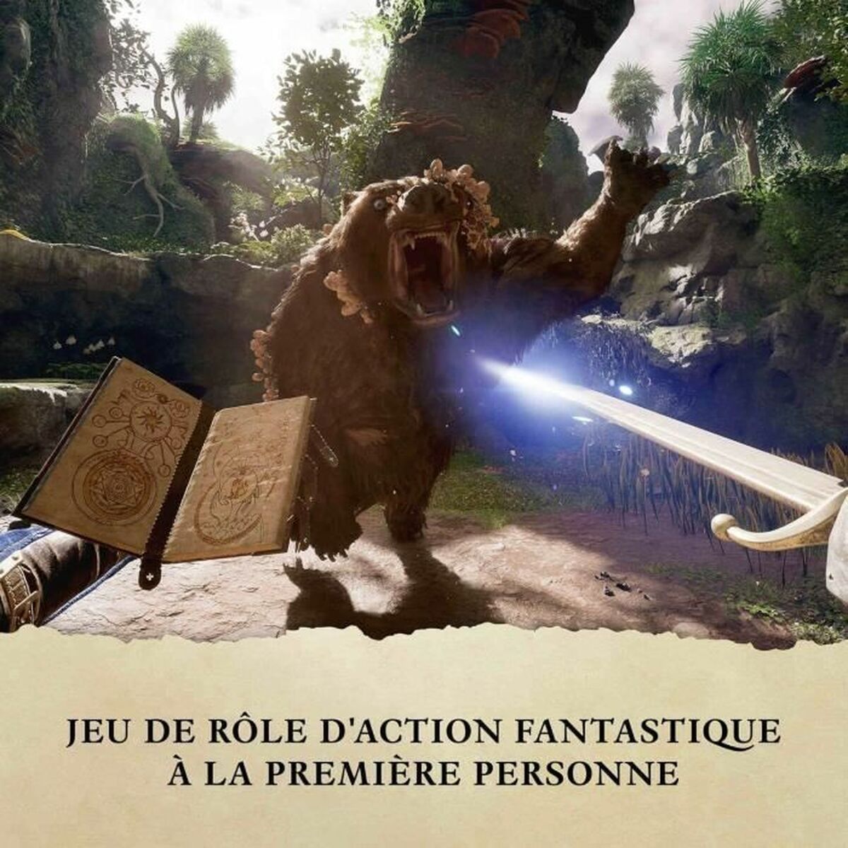 Joc video Xbox Series X Microsoft Avowed Premium Edition SteelBook