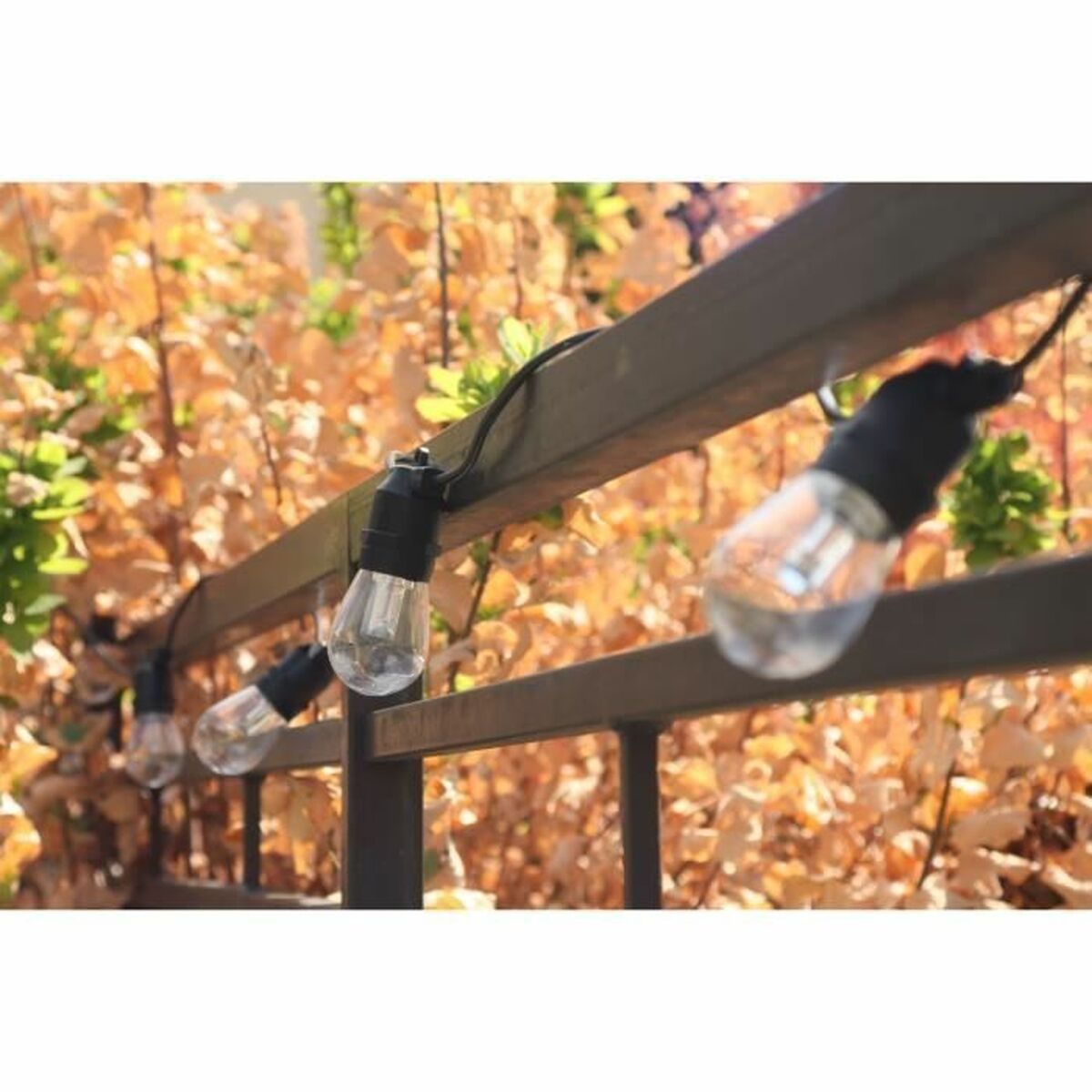 Ghirlandă de lumini LED Rio Negru Multicolor 5 m LED RGB 20