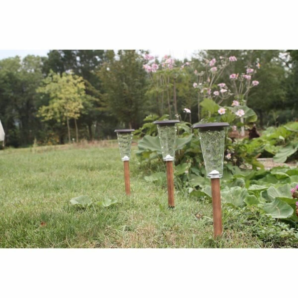 Lampă solară Canopo Natural 20 Lm (3 Unități)