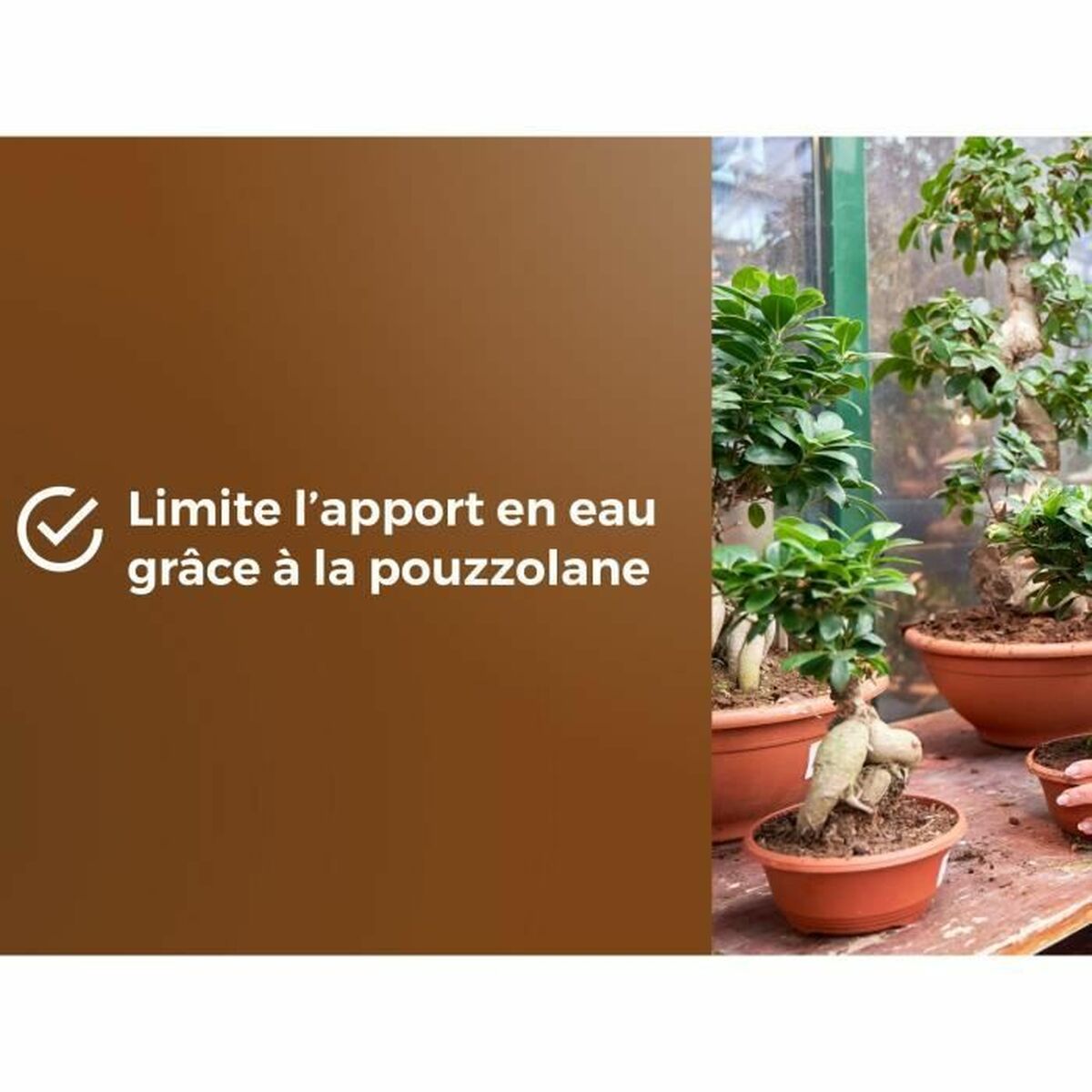 Pământ pentru ghiveci OR BRUN BROWN GOLD 6 L