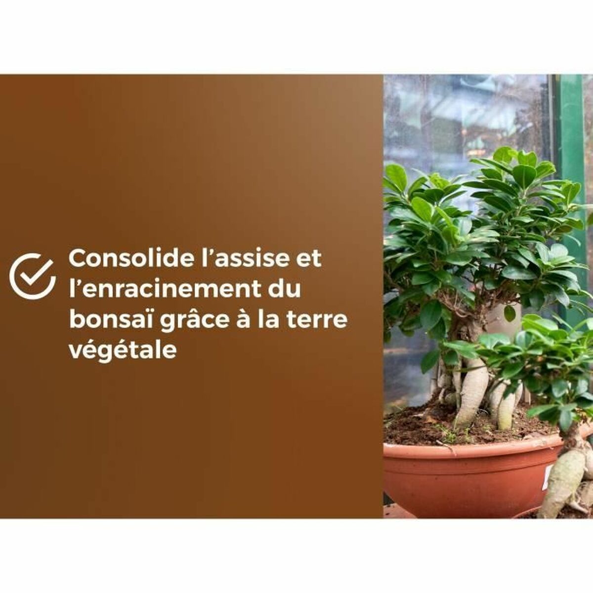 Pământ pentru ghiveci OR BRUN BROWN GOLD 6 L