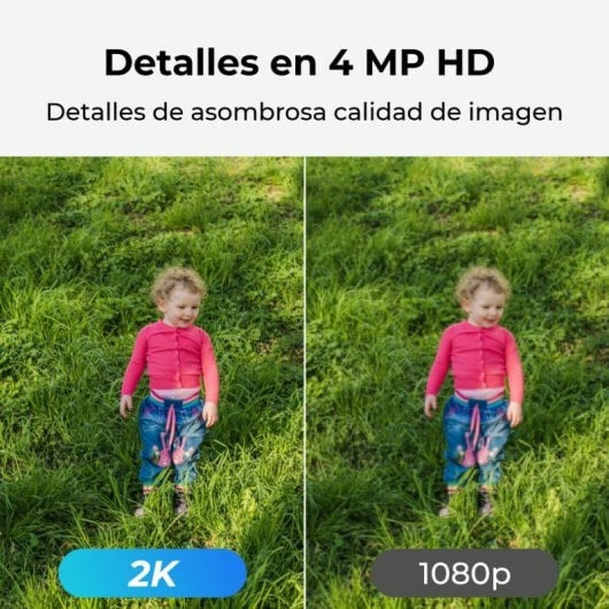 Cameră Video de Supraveghere Reolink