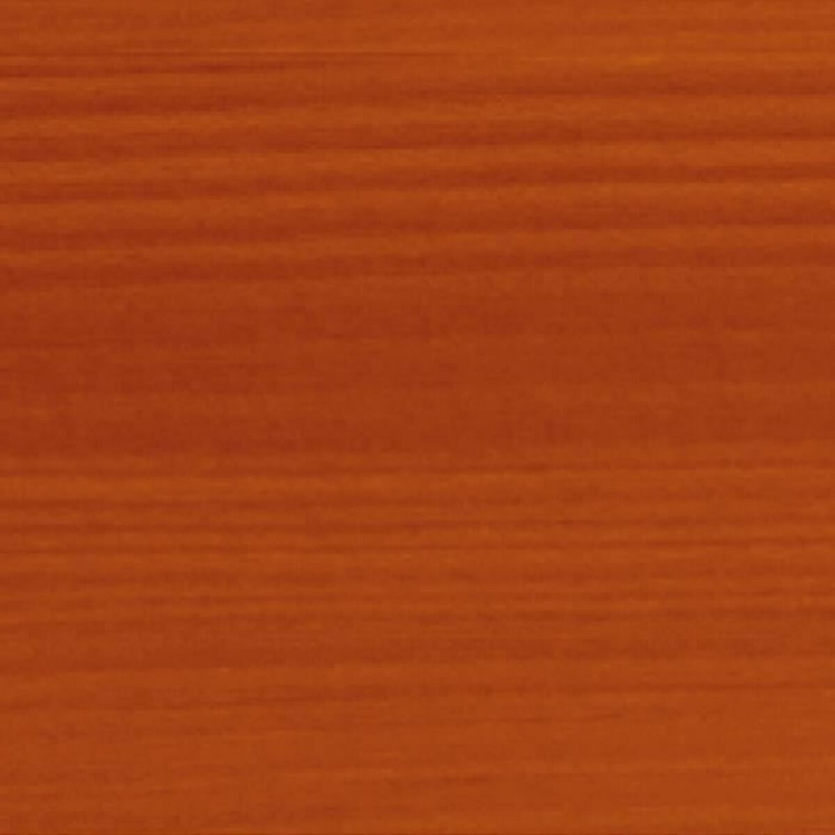 Vopsea de Grund Bondex Mat 5 L