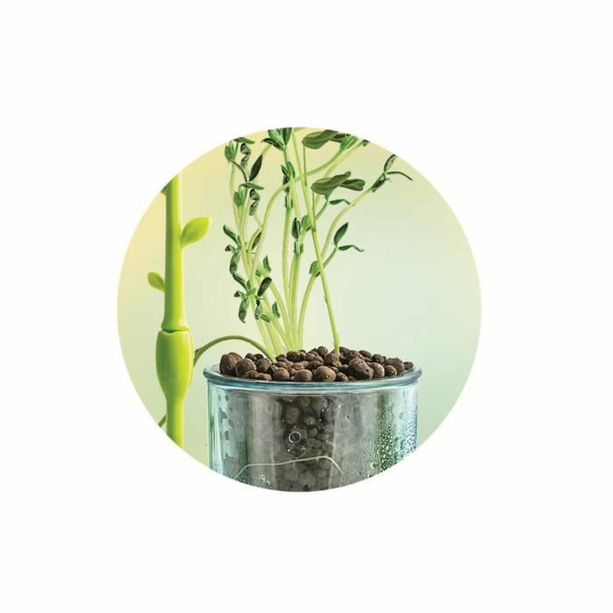 Joc de știință Clementoni CLEMENTONI 16 x 6 x 22 cm