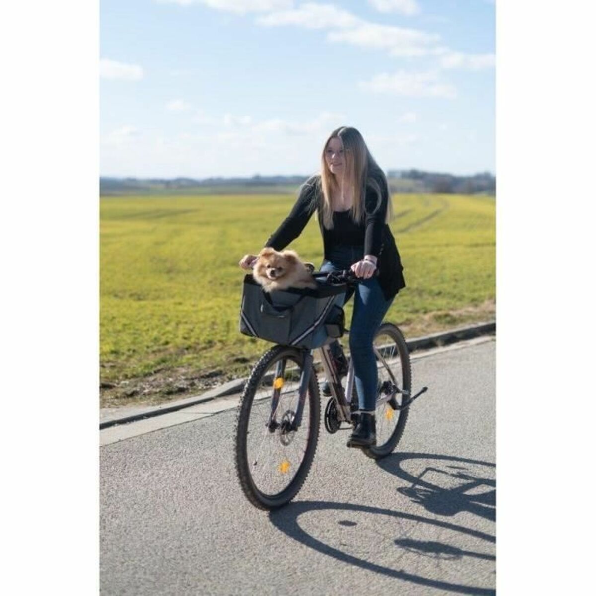 Geantă pentru Bicicletă Kerbl Gri