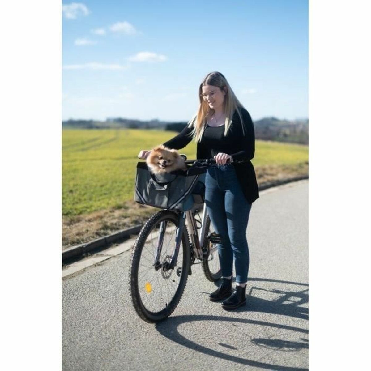Geantă pentru Bicicletă Kerbl Gri