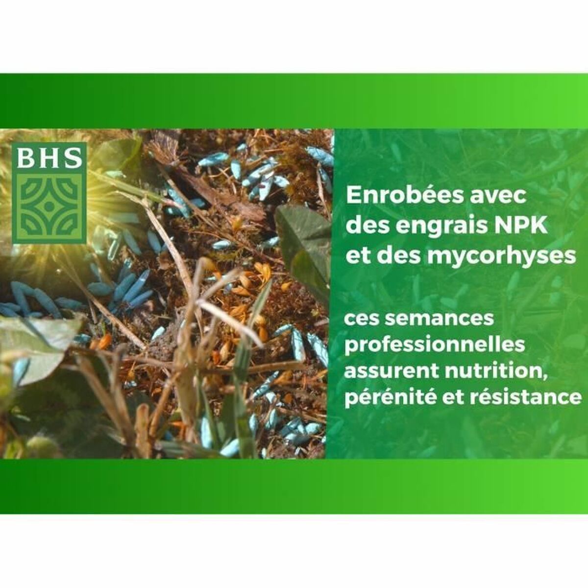 Semințe BHS Gazon Anglais 10 kg