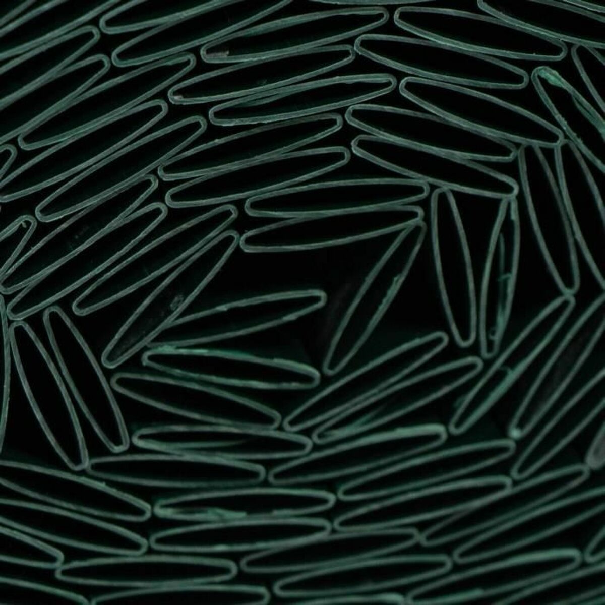 Plasă de camuflaj Nature Verde