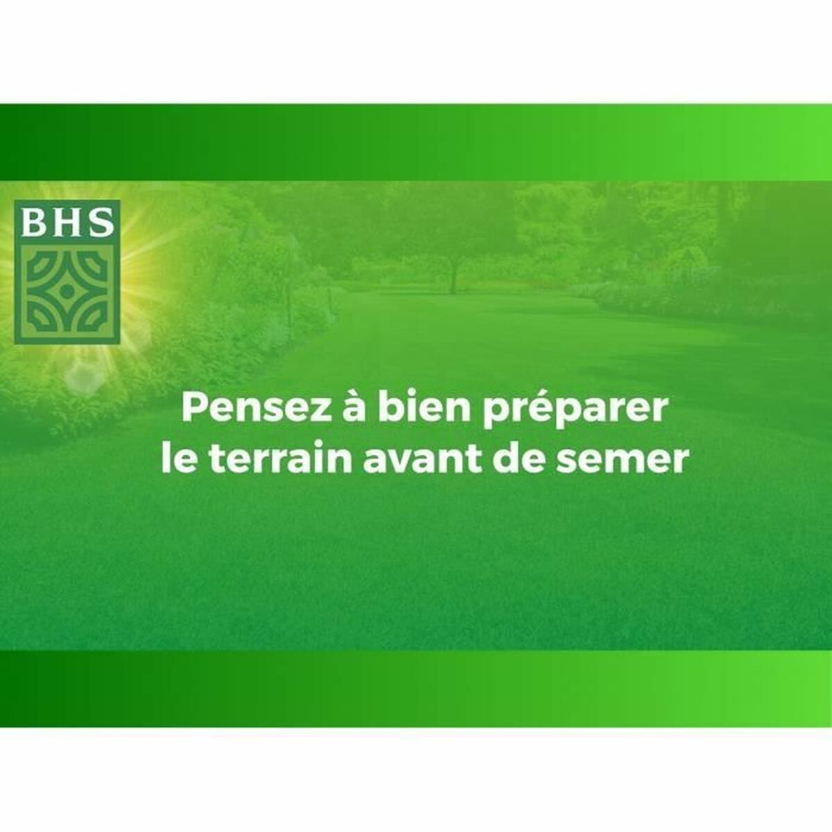 Semințe BHS Bord de Mer