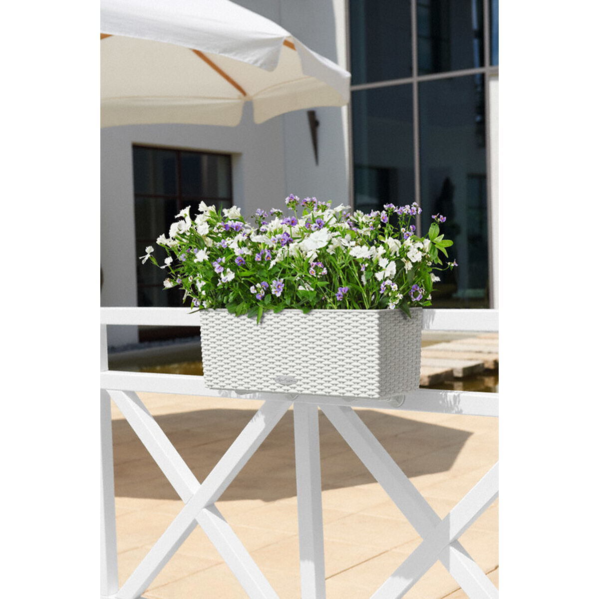 Ghiveci Lechuza Alb Negru polipropilenă