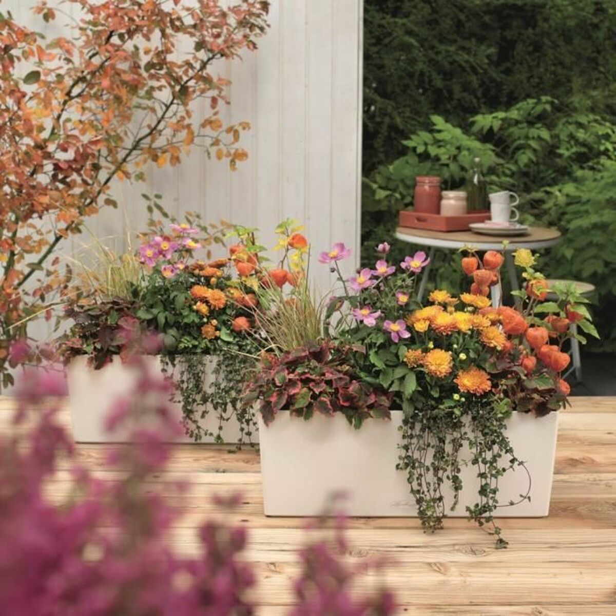 Ghiveci Lechuza Alb Negru polipropilenă