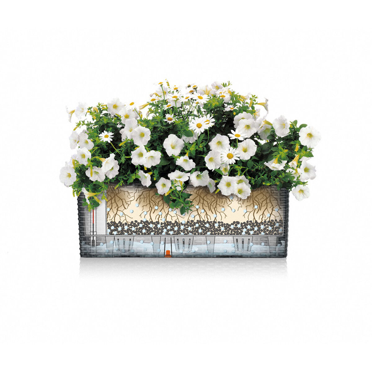 Ghiveci Lechuza Negru Gri polipropilenă