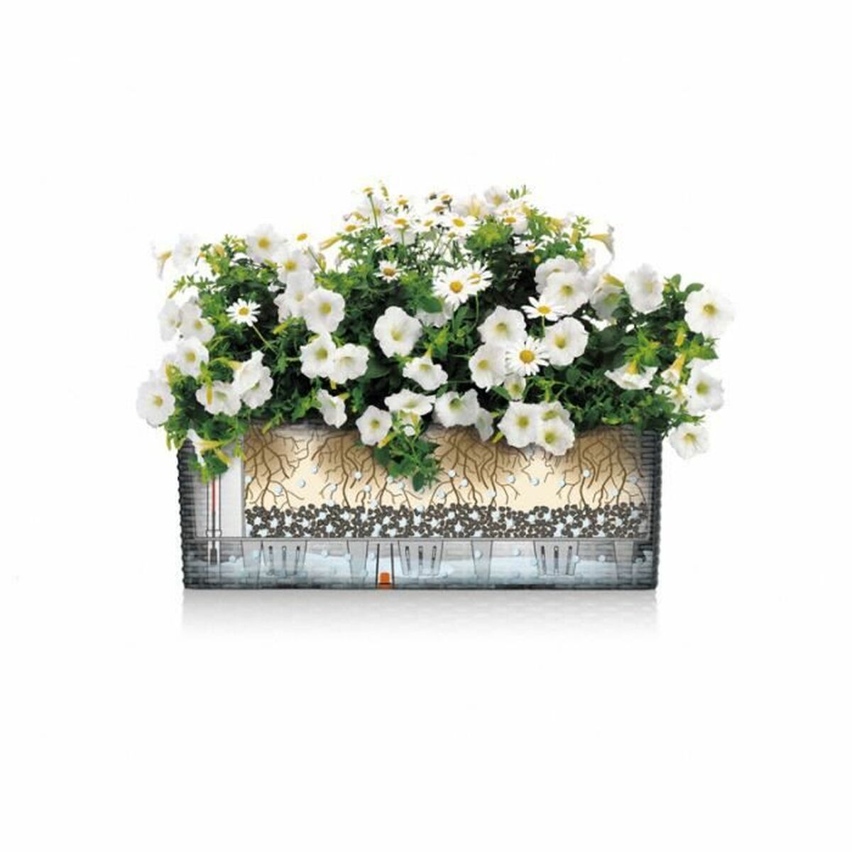 Ghiveci Lechuza Maro Negru polipropilenă