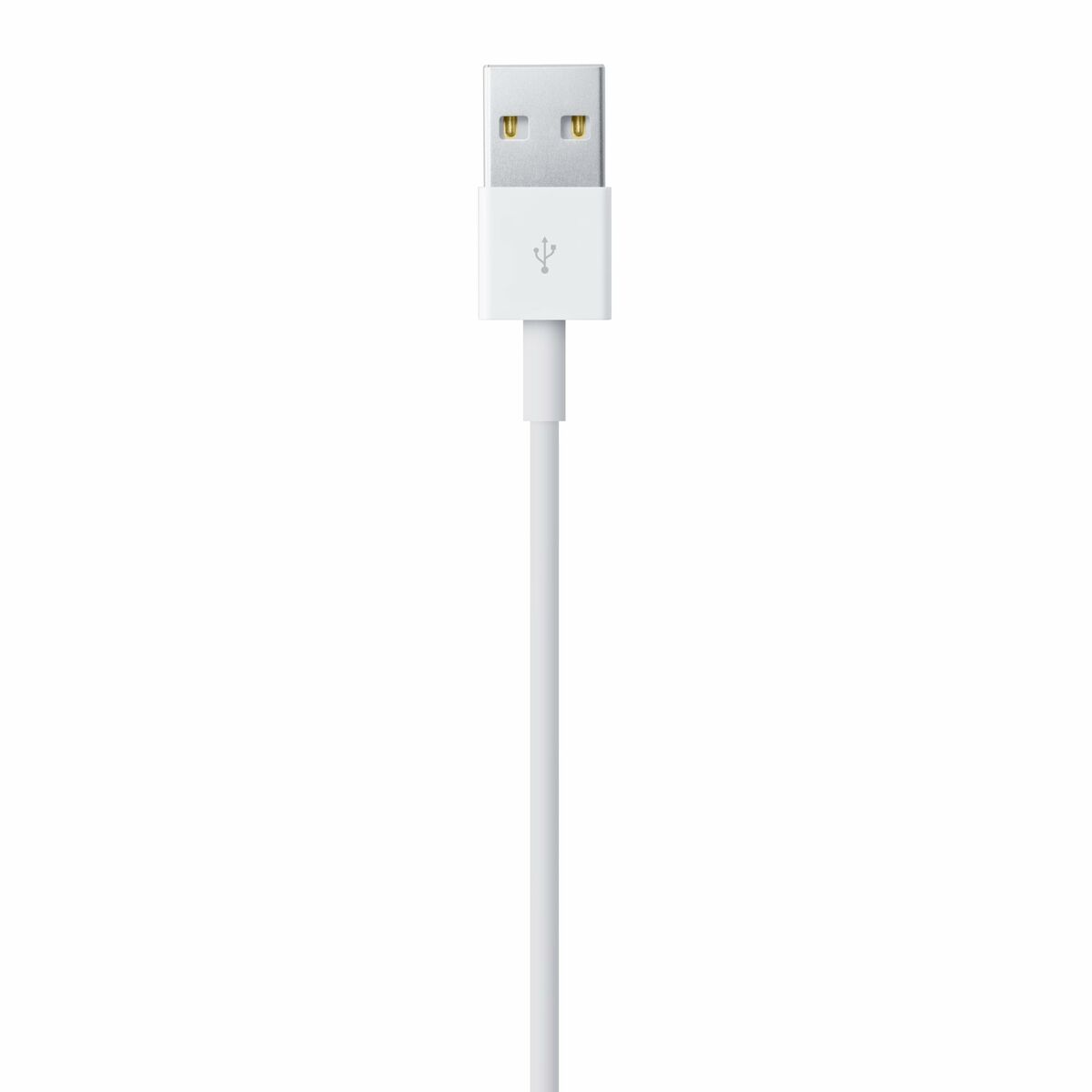 Cablu USB la Lightning Apple Alb 1 m