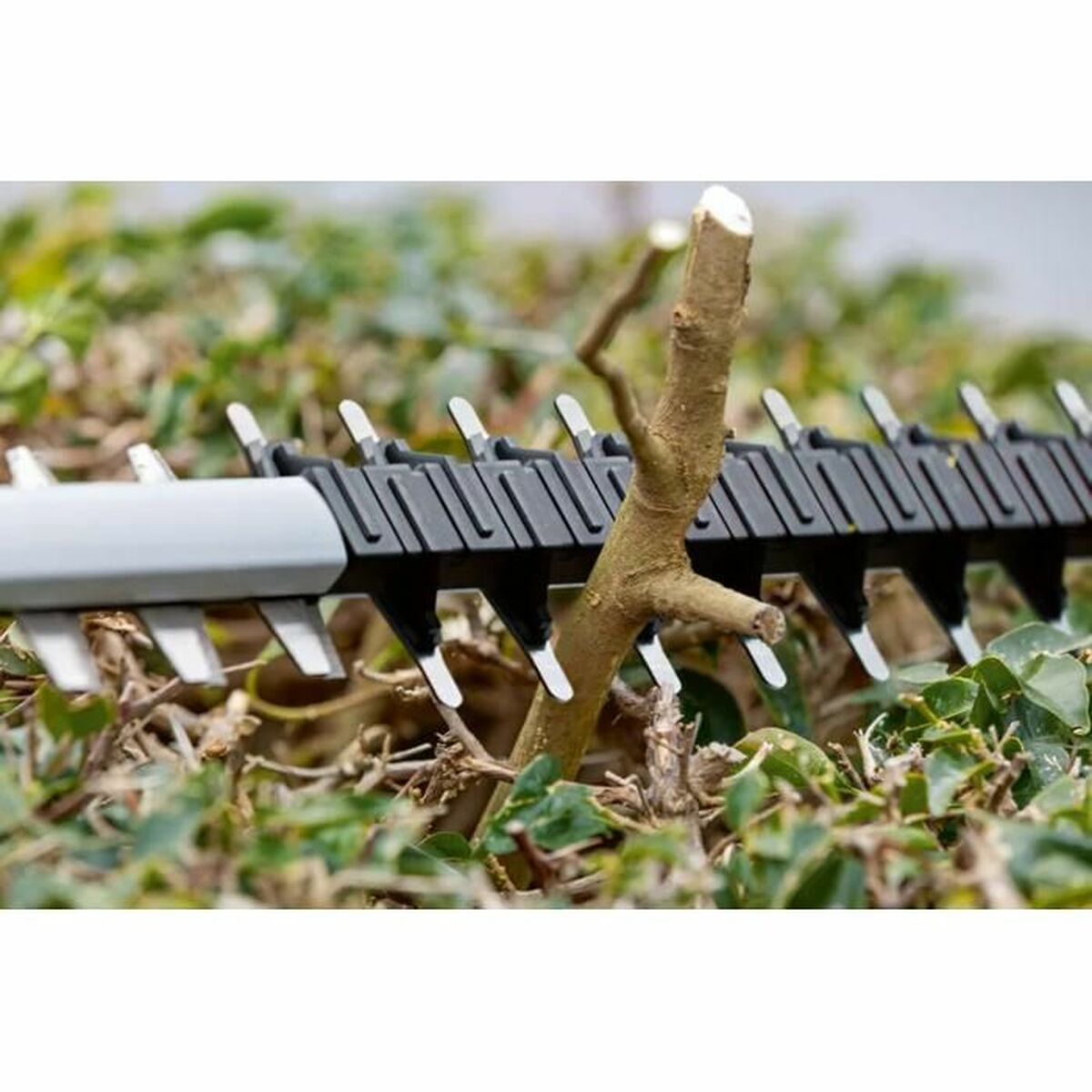 Foarfece de grădină BOSCH 06008C9500 18 V