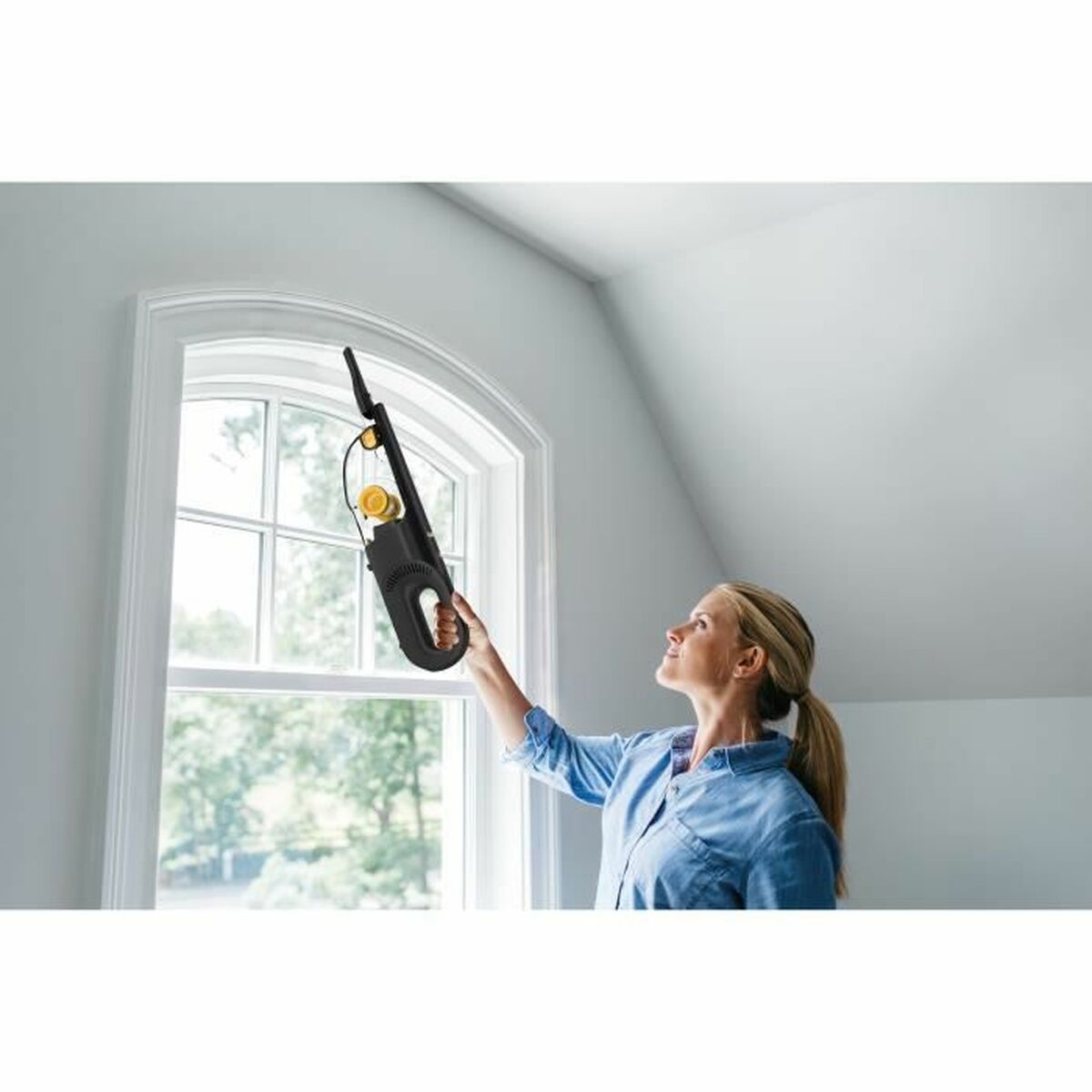 Aspirator Manual Shark