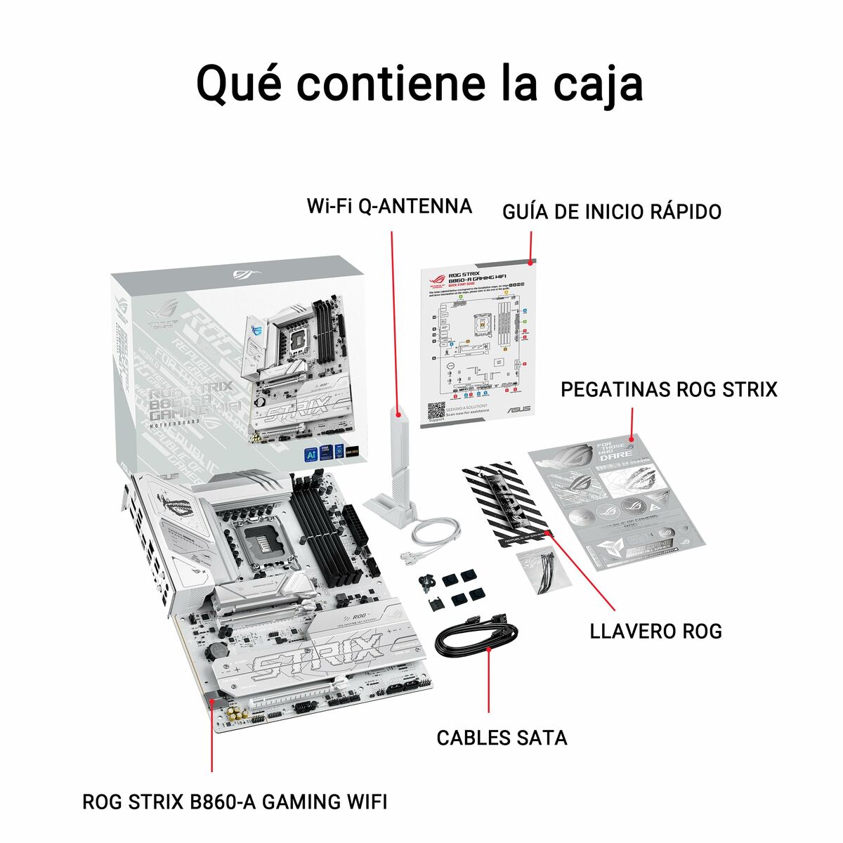 Placă de Bază Asus LGA 1851