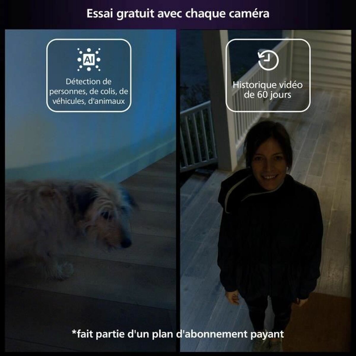 Cameră Video de Supraveghere Philips