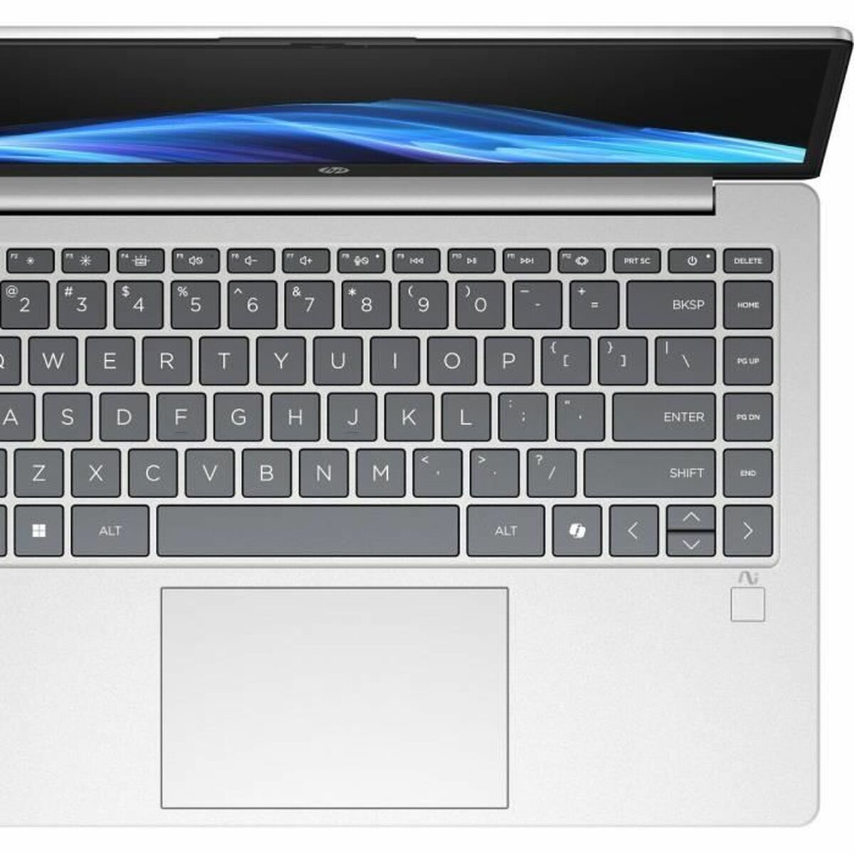 Laptop HP Omnibook 3 14-ha0015nf 14'' Ryzen 5 3450U 16 GB RAM 512 GB SSD