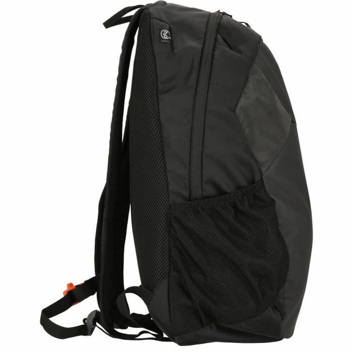 Rucsac de drumeție Whistler Froswick Negru 20 L 50 x 25 x 14,5 cm
