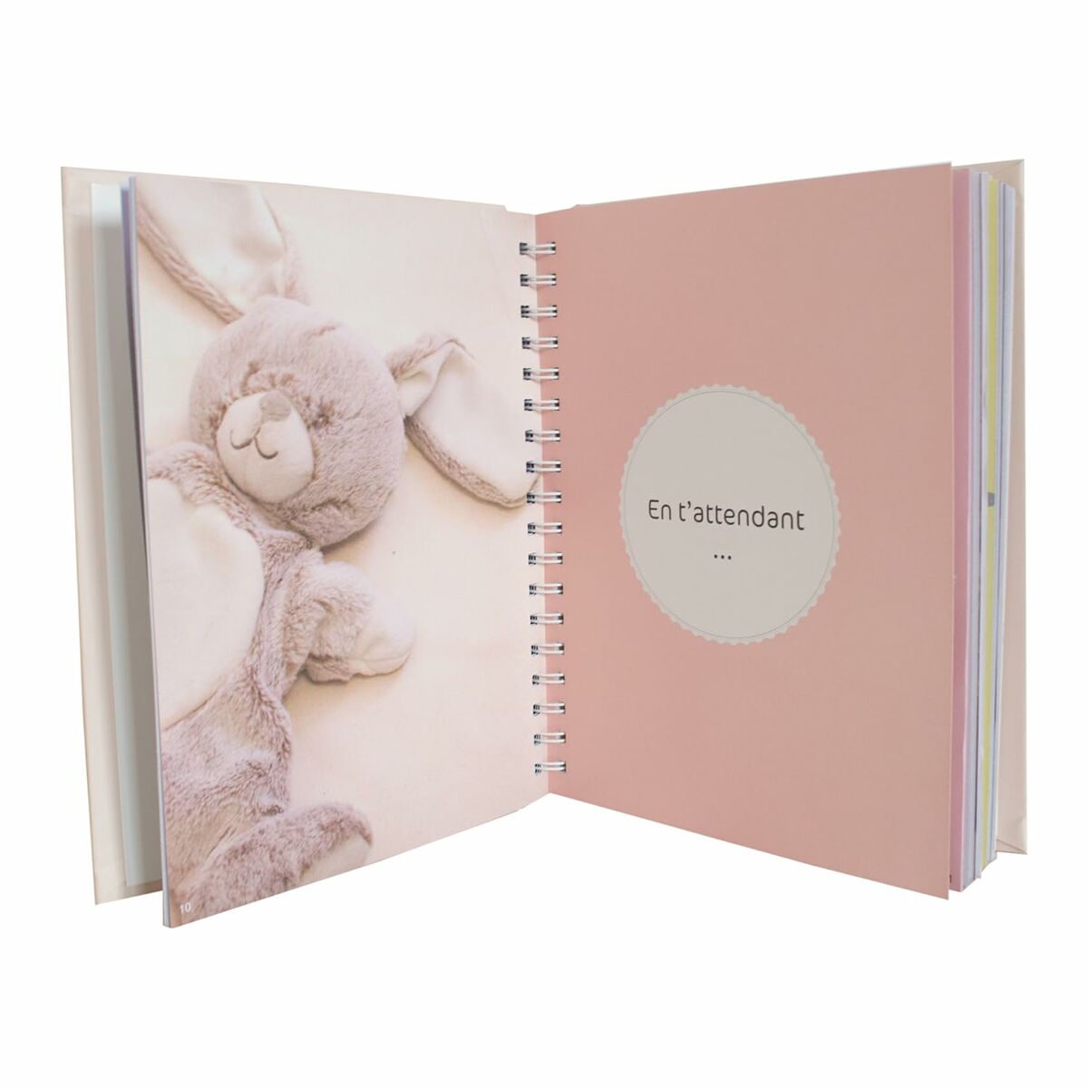 Album Domiva Mes 5 premieres annees