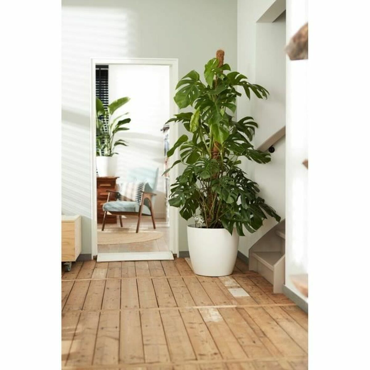 Set de ghivece Elho Alb Plastic Rotund 2 Piese