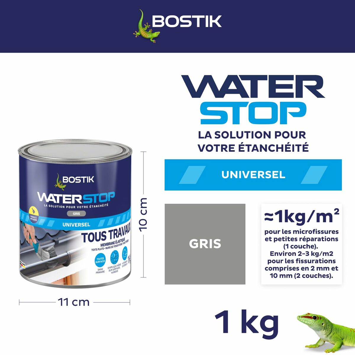 Silicon Bostik