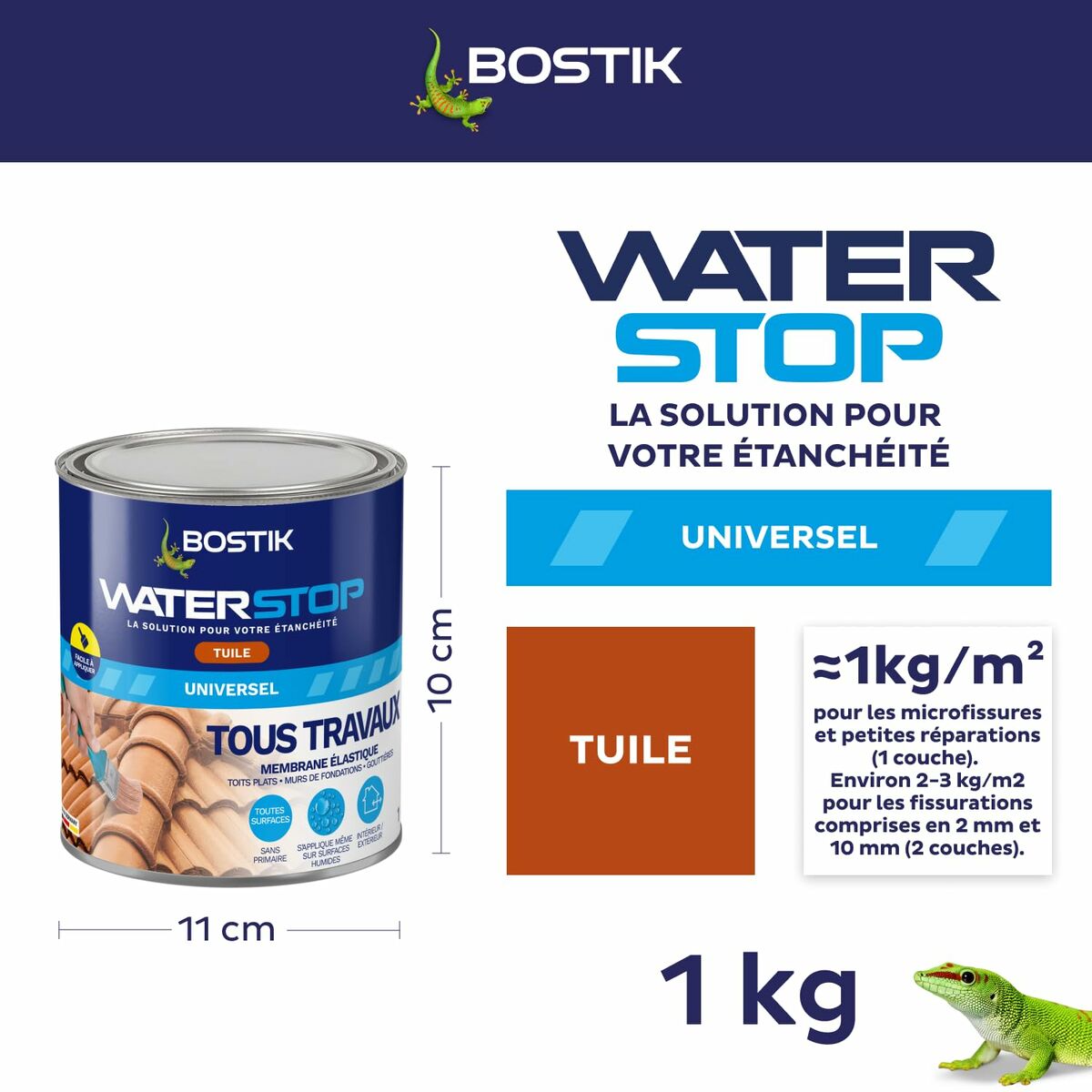 Silicon Bostik