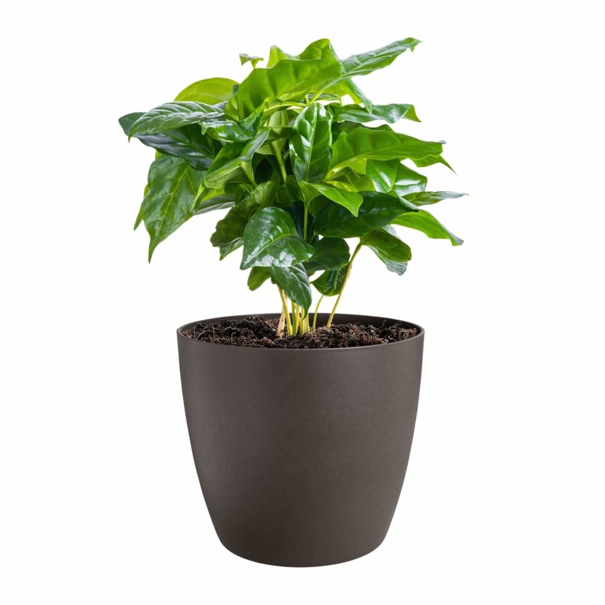 Set de ghivece Elho Plastic Rotund 3 Piese