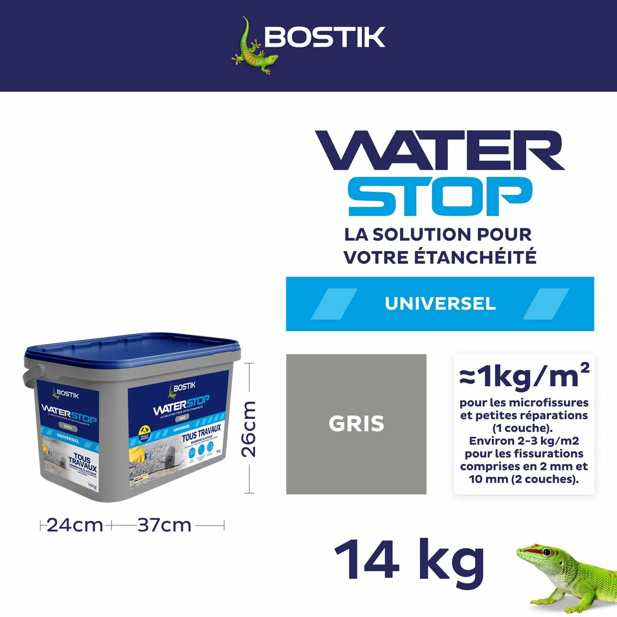 Silicon Bostik