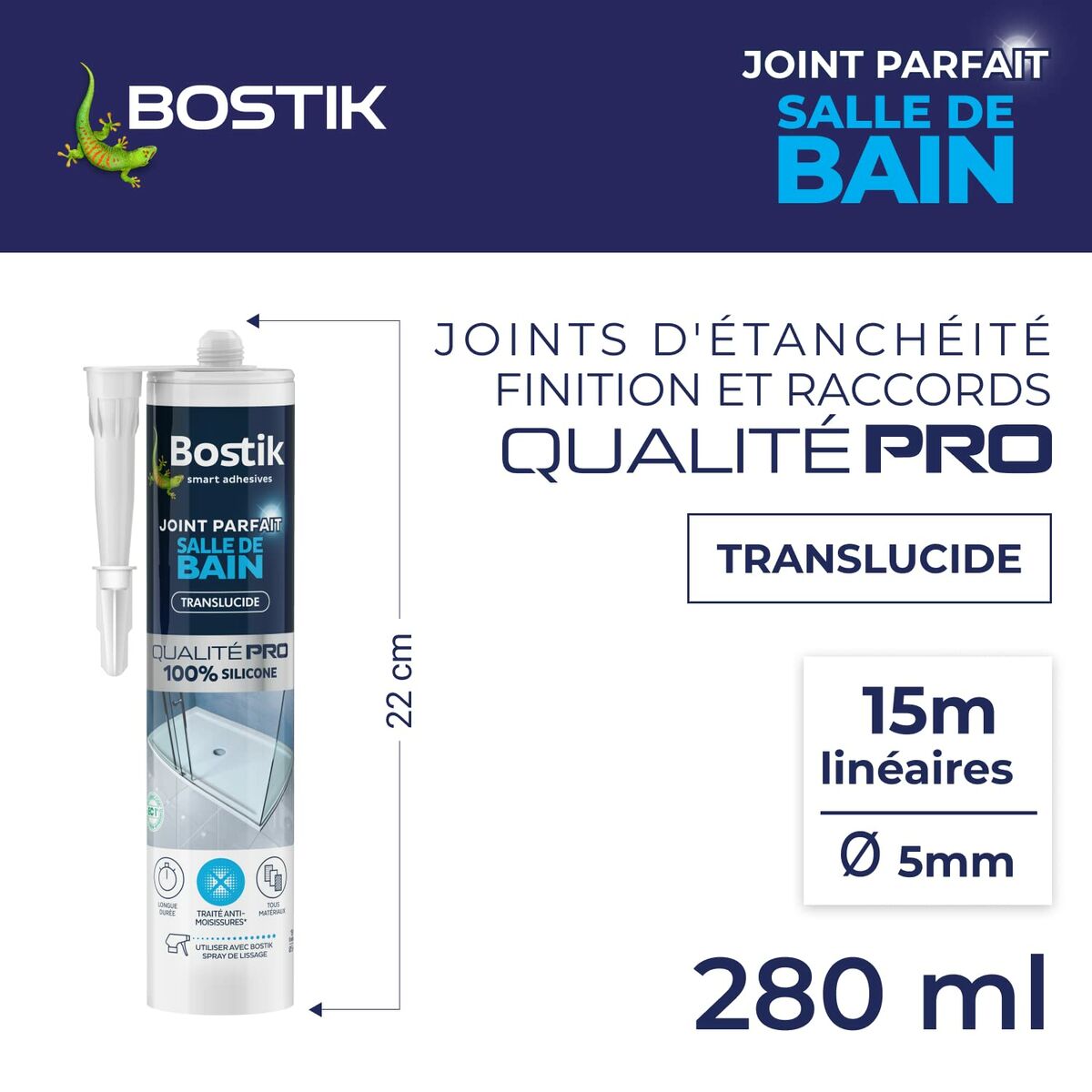 Silicon Bostik
