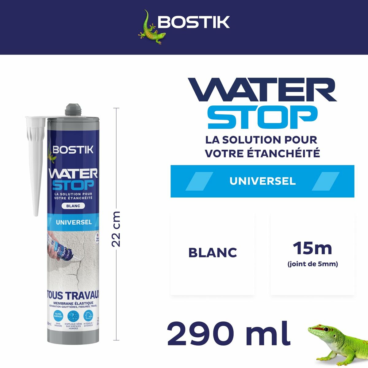 Silicon Bostik