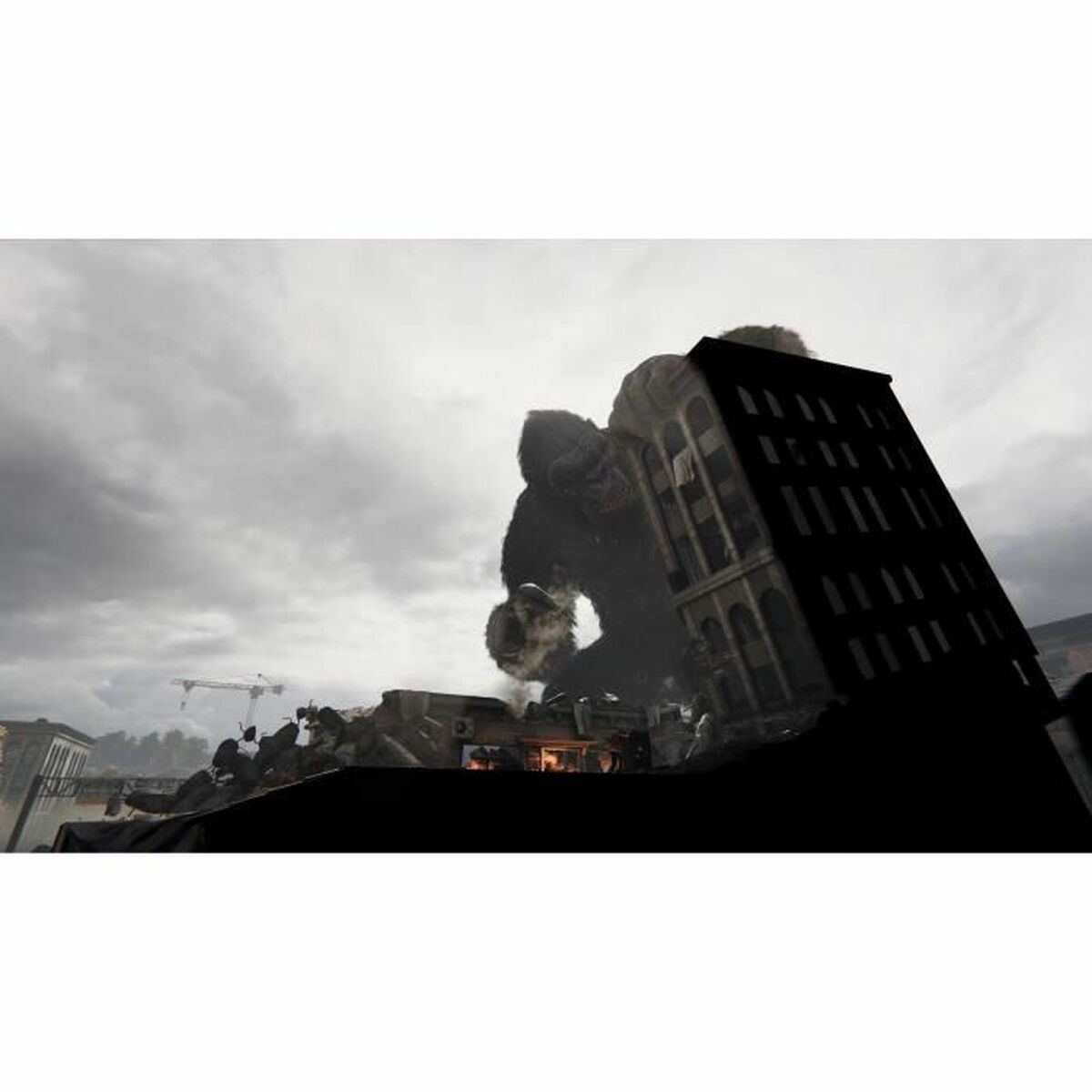 Joc video PlayStation 5 Microids