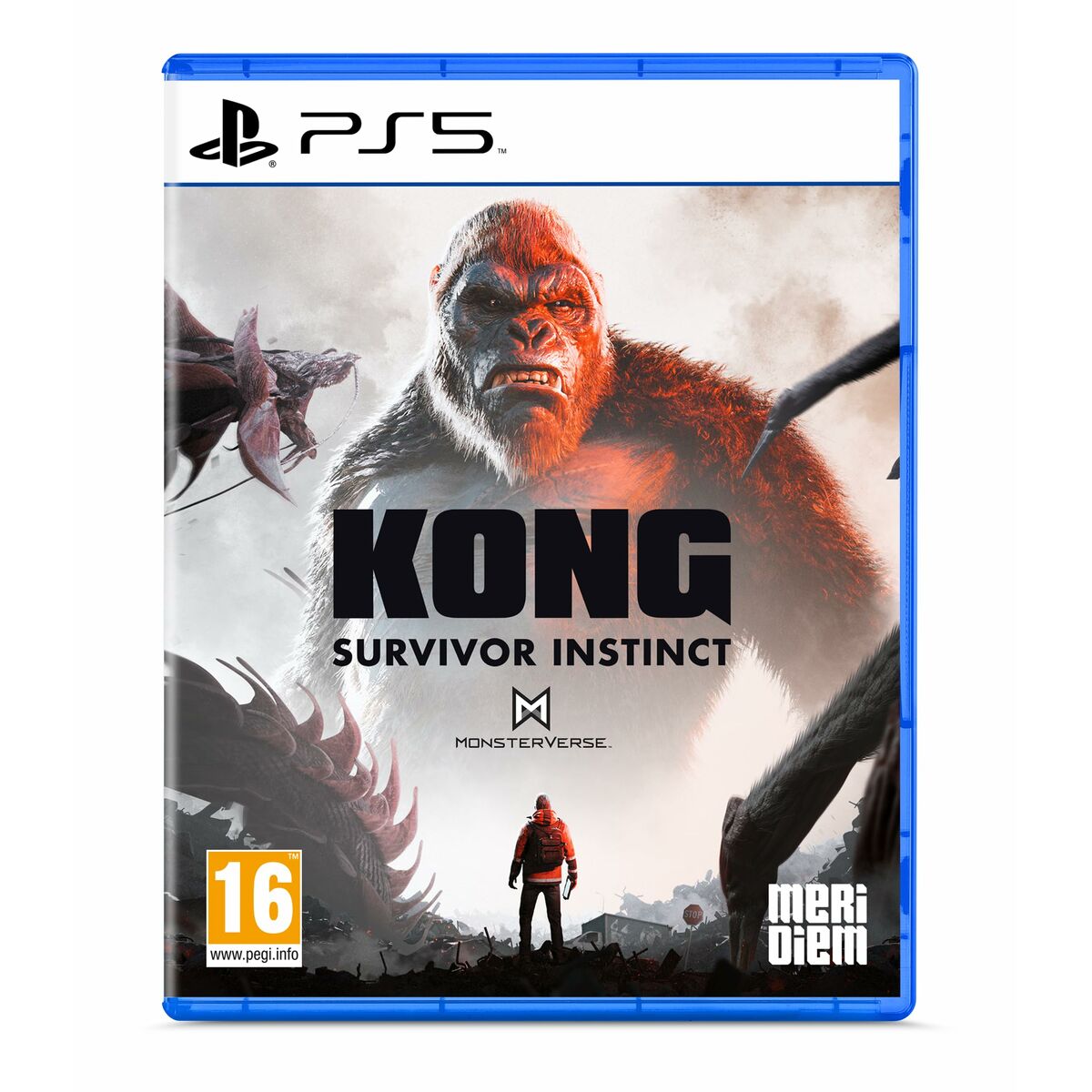 Joc video PlayStation 5 Microids