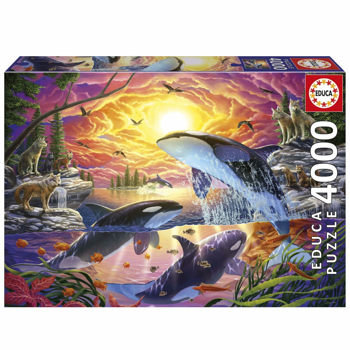 Puzzle Educa Orcas y Lobos 4000 Piese