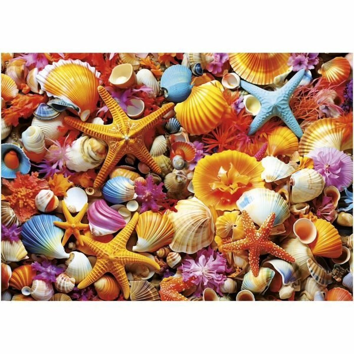 Puzzle Educa Collage de Conchas 1000 Piese