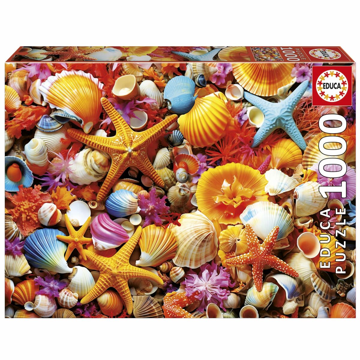 Puzzle Educa Collage de Conchas 1000 Piese
