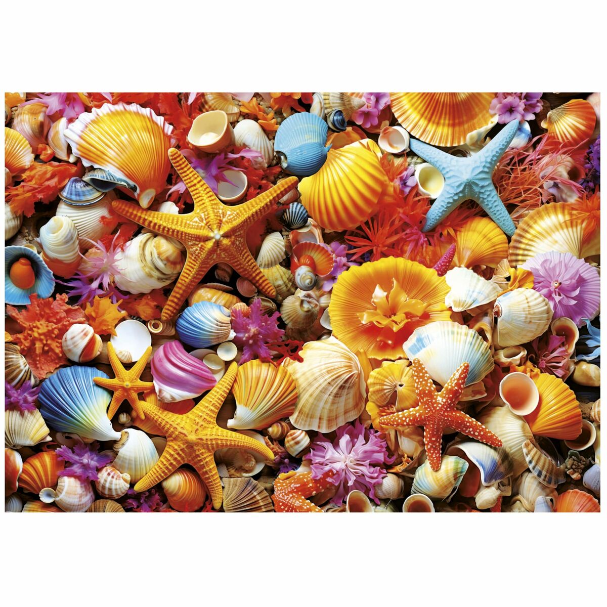 Puzzle Educa Collage de Conchas 1000 Piese