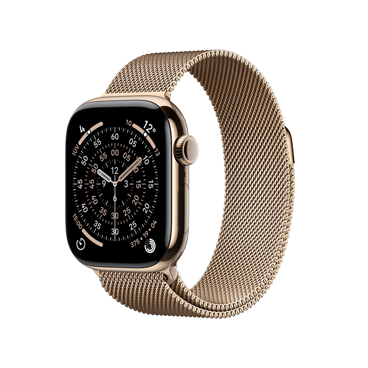 Smartwatch Apple Titaniu