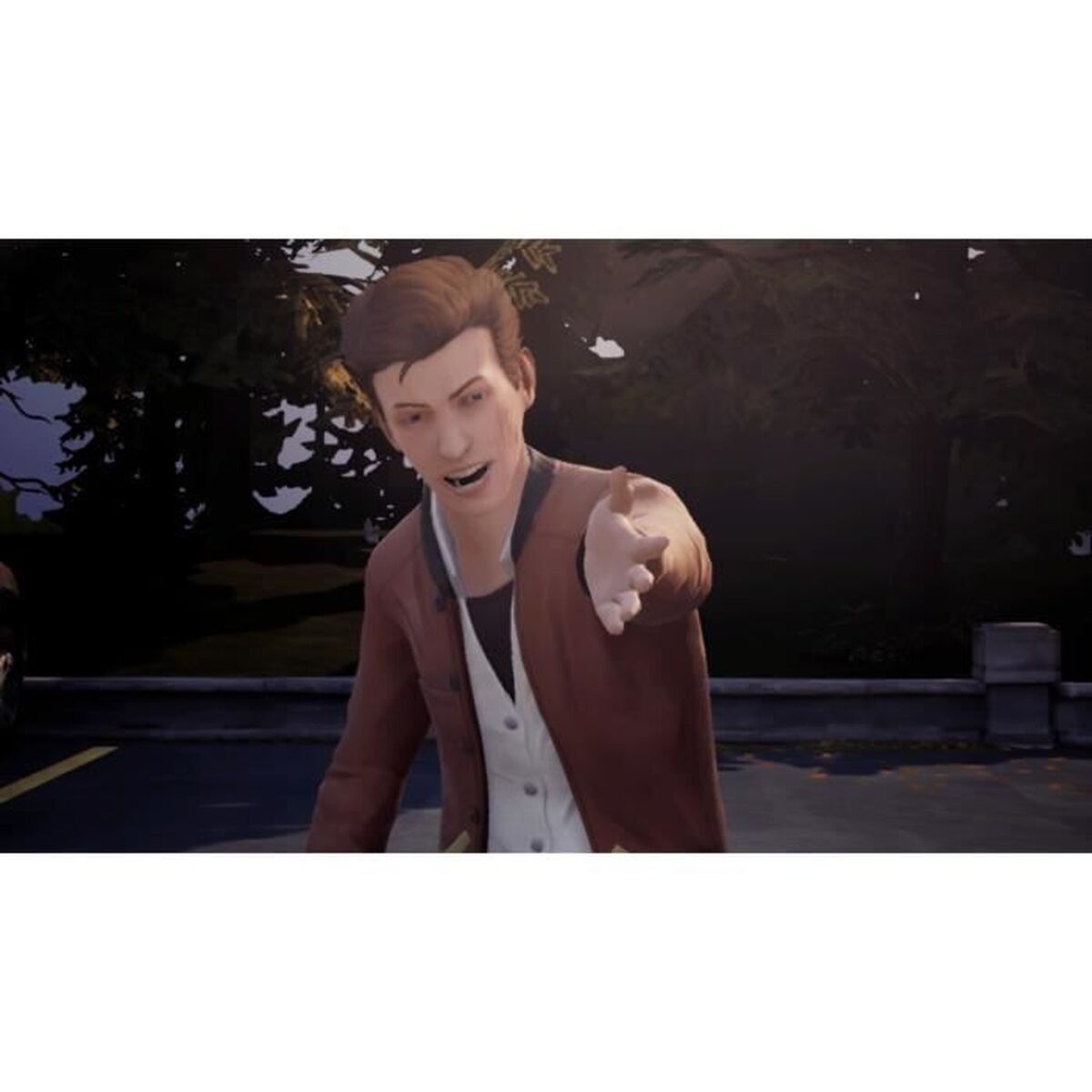 Joc video pentru Switch Square Enix Life is Strange Arcadia Bay Collection