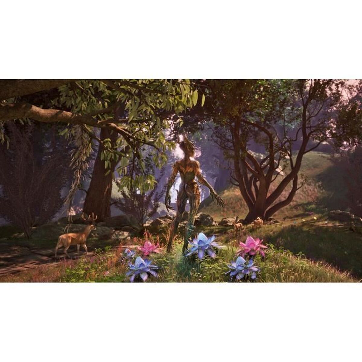 Joc video PlayStation 5 Microsoft Elder Scrolls IV Oblivion