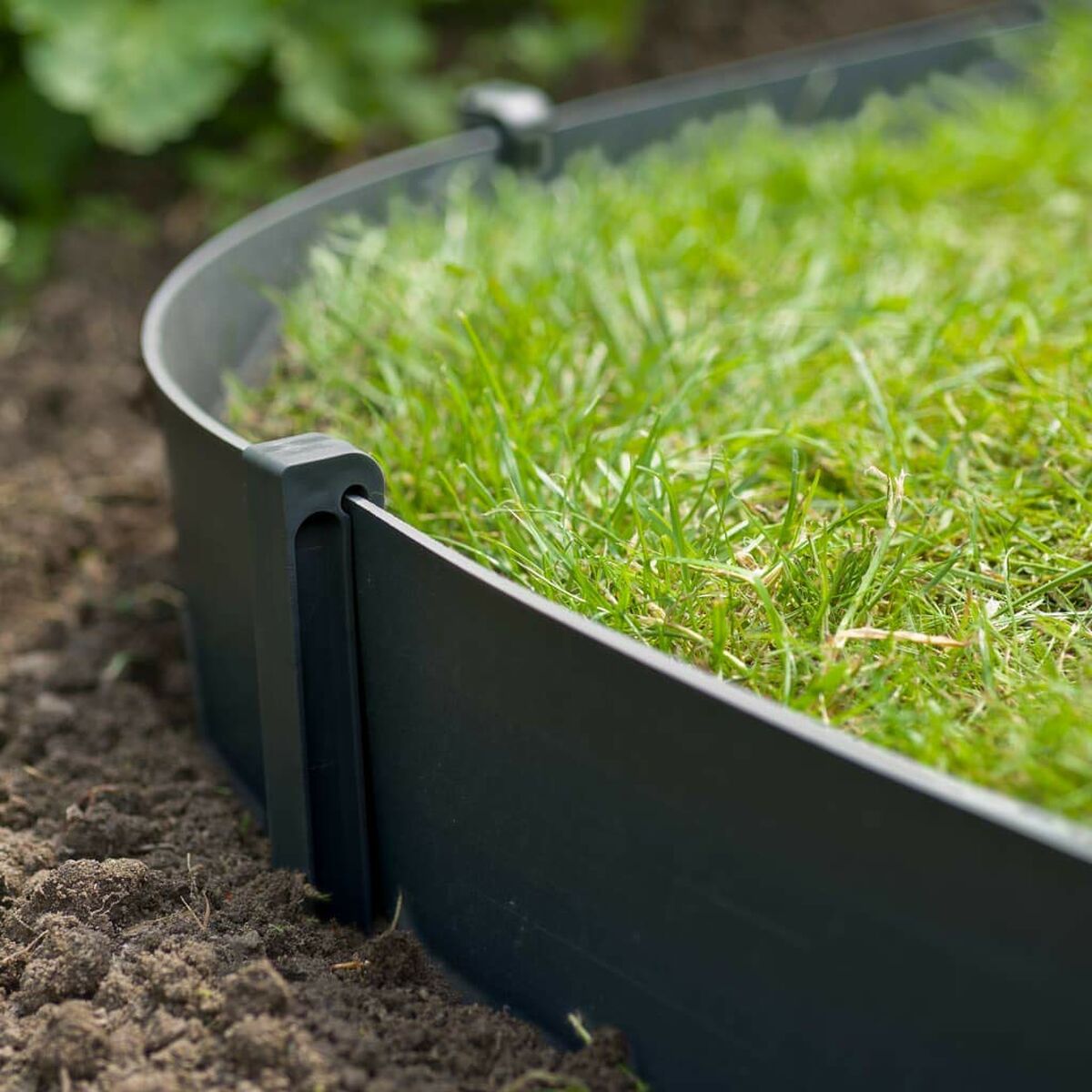 Miză Nature 6040638