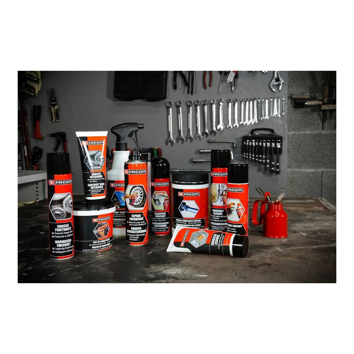 Chit Facom 006051 600 g