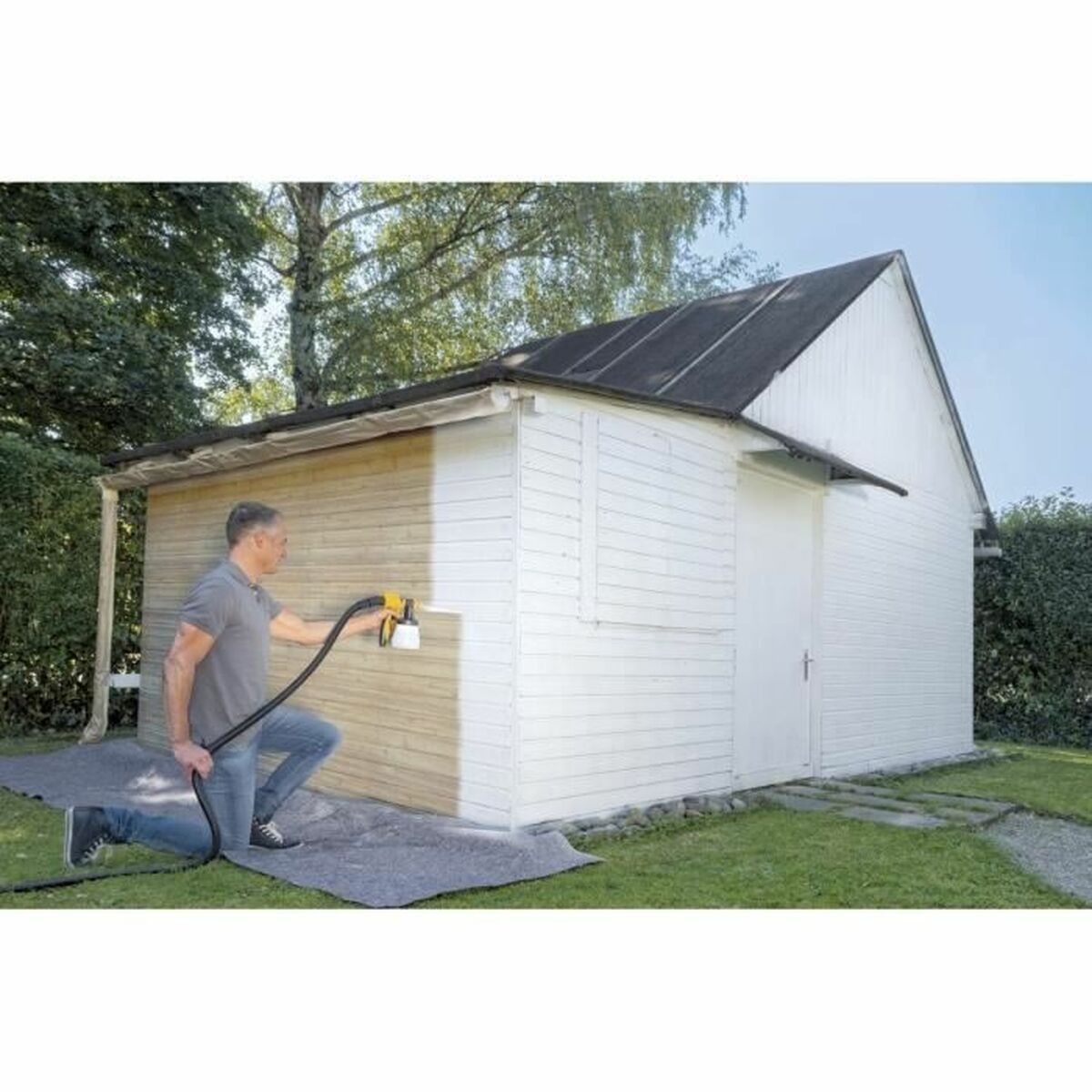 Pulverizator electric de vopsit Wagner