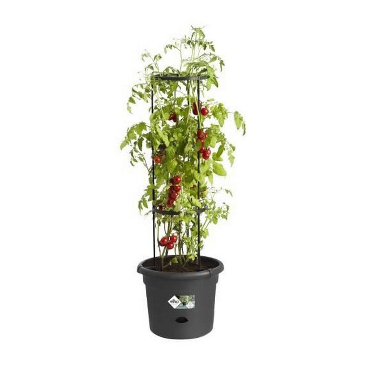 Ghiveci Elho Basics Tomato Negru (Ø 33 cm)