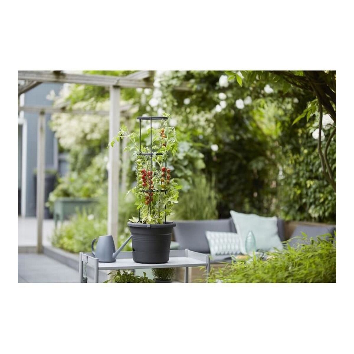 Ghiveci Elho Basics Tomato Negru (Ø 33 cm)