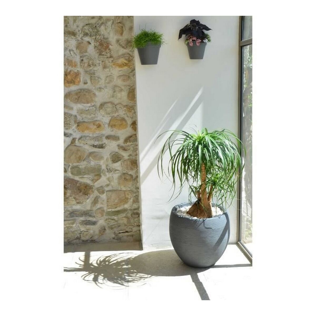 Ghiveci EDA Graphit Rotundă Plastic Gri închis (Ø 50 x 45 cm)